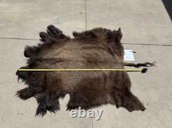Montana Tanned Bison Buffalo Hide Rug/ Native American/ Curio