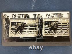 N. A. Forsyth Buffalo / Bison Ranch Stereographs Montana Early 1900s (Lot of 5)