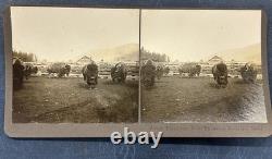N. A. Forsyth Buffalo / Bison Ranch Stereographs Montana Early 1900s (Lot of 5)