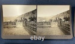 N. A. Forsyth Buffalo / Bison Ranch Stereographs Montana Early 1900s (Lot of 5)