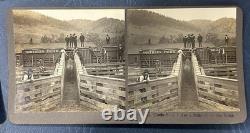 N. A. Forsyth Buffalo / Bison Ranch Stereographs Montana Early 1900s (Lot of 5)