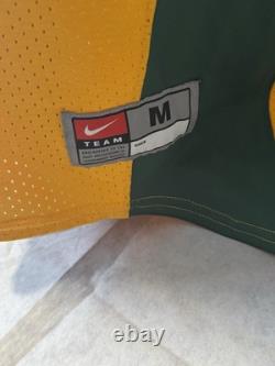 NDSU North Dakota State University Bison Nike GU Game used football jersey #10