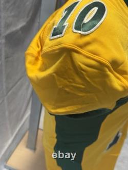 NDSU North Dakota State University Bison Nike GU Game used football jersey #10