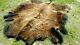 NEW Wild Montana Yellowstone Park Bison Buffalo Robe Hide Leather Native Antler