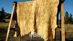 NEW Wild Montana Yellowstone Park Bison Buffalo Robe Hide Leather Native Antler