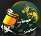 NORTH DAKOTA STATE BISON NCAA Riddell Speed Full Size REPLICA Football Helmet