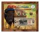 Native American Bison Colorized Coin & Currency Set in 8 x 10 Frame H