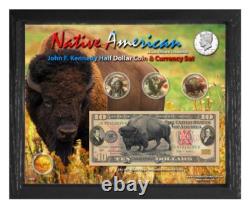 Native American Bison Colorized Coin & Currency Set in 8 x 10 Frame H