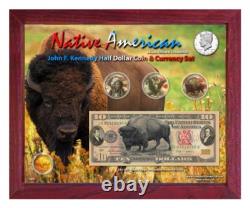 Native American Bison Colorized Coin & Currency Set in 8 x 10 Frame H