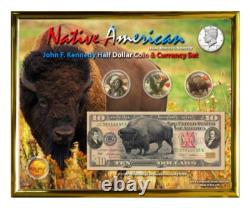 Native American Bison Colorized Coin & Currency Set in 8 x 10 Frame H