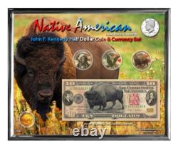 Native American Bison Colorized Coin & Currency Set in 8 x 10 Frame H