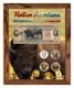 Native American Bison Colorized Coin & Currency Set in 8 x 10 Frame V