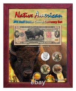 Native American Bison Colorized Coin & Currency Set in 8 x 10 Frame V