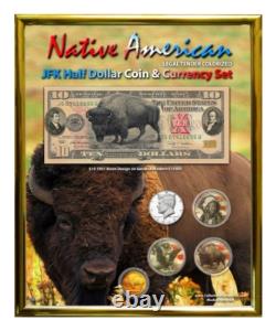 Native American Bison Colorized Coin & Currency Set in 8 x 10 Frame V