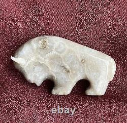 Native American Todd Westika Zuni Bison Petoskey Stone Fetish Signed TW 2001