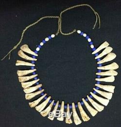 Necklace made of Bison teeth and beads Lakota Sioux end of 19th C