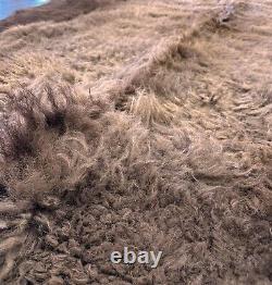 New Buffalo Bison Hide Rug Robe L 7x8+ 1st Grade Soft Tanning In The USA