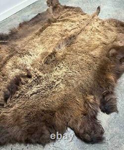 New Buffalo Bison Hide Rug Robe L 7x8+ 1st Grade Soft Tanning In The USA