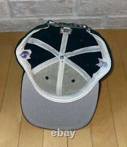 New Era Buffalo Bisons Minor League Baseball Snapback Hat Vintage 2002 USA OSFM