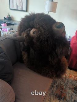 North American Bison (Buffalo) Shoulder Wall Mount Taxidermy