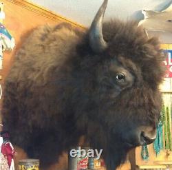 North American Bison (Buffalo) Shoulder Wall Mount with FREE Shipping