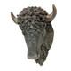 North American Buffalo / Bison Head Wall Sculpture