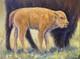 Original Bison & Calf Painting 9x12 Western Wildlife Art Buffalo Acrylic