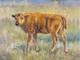 Original Bison Calf Painting 9x12 Western Wildlife Art Buffalo Acrylic