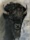 Original Majestic Bison Oil Painting wildlife