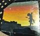 Original Native American Buffalo Dance Painting Dine (Navajo) Acrylic on Granite