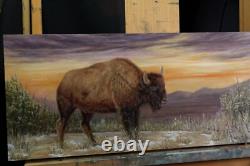 Original Oil Painting Buffalo Bison Yellowstone Sunset Western Wildlife Art