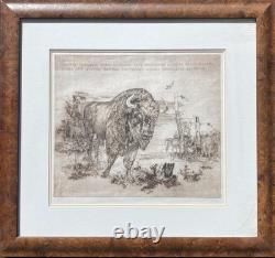 Original Signed Etching European Bison Wildlife 3/7 Limited Framed Art