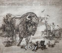 Original Signed Etching European Bison Wildlife 3/7 Limited Framed Art