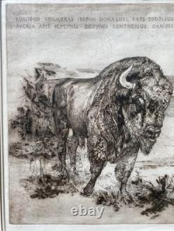 Original Signed Etching European Bison Wildlife 3/7 Limited Framed Art