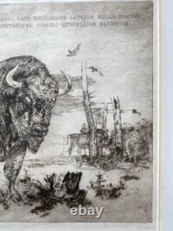 Original Signed Etching European Bison Wildlife 3/7 Limited Framed Art