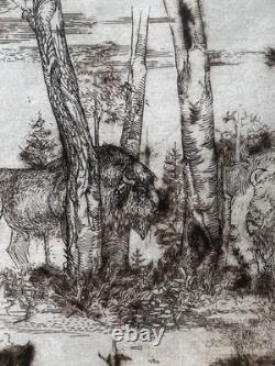 Original Signed Etching European Bison Wildlife 3/7 Limited Framed Art