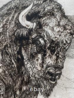Original Signed Etching European Bison Wildlife 3/7 Limited Framed Art