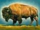 Original Western Art American Bison, Buffalo, Hand Painted 24x18 Inch Signed
