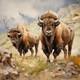 Original Western Art American Bison, Buffalo, Hand Painted 36x36 Inches Signed