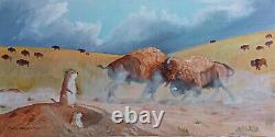 Original oil painting wildlife buffalo American bison bull Carol Proebstel