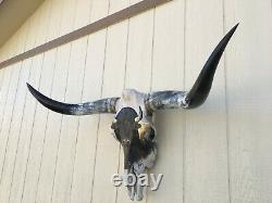PAINTED LONGHORN STEER SKULL 4 feet wide HORN (BUFFALO BISON) cow BULL head