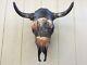 PAINTED STEER SKULL 20 wide HORN (BUFFALO BISON) cow BULL head