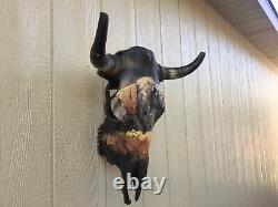 PAINTED STEER SKULL 20 wide HORN (BUFFALO BISON) cow BULL head