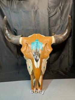 Painted Bison Skull (h83005401)