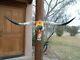 Painted Longhorn Steer Skull 4 Feet 6 Wide Horns Mounted Bull Bison Cow Head