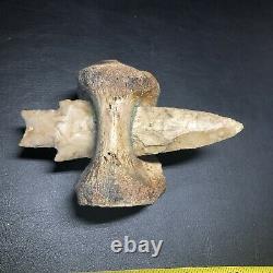 Pedernales Indian Arrowhead stuck in Bison Vertebra Art Piece Wolf Family Coll