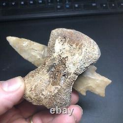 Pedernales Indian Arrowhead stuck in Bison Vertebra Art Piece Wolf Family Coll