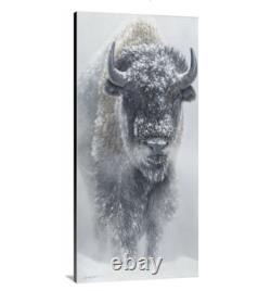 Powerful Yellowstone Bison Western Decor Limited Edition Signed Giclee Print