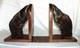 Pr Vintage Bison Hoof Taxidermy Bookends Display Books Hunting Lodge Library