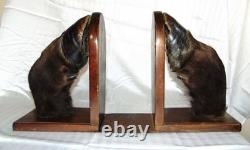 Pr Vintage Bison Hoof Taxidermy Bookends Display Books Hunting Lodge Library